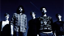 Foals