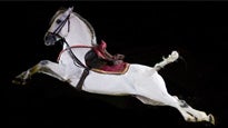 The Royal Horse Gala