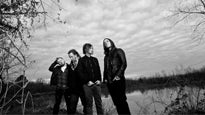 Shinedown