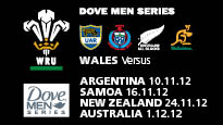 Wales v Barbarians