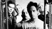 Vision of Disorder