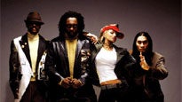 Black Eyed Peas