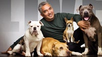 Cesar Millan (A.K.A. the Dog Whisperer)