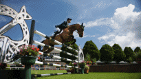 Dublin Horse Show