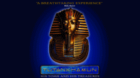 Tutankhamun His Tomb & Treasures