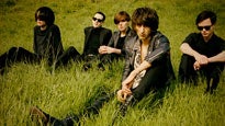 The Horrors