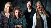 Y&T
