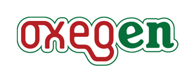 Oxegen 2009