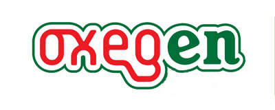 Oxegen 2009