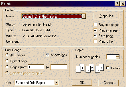 Windows' printer options window