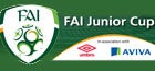 FAI Junior Cup