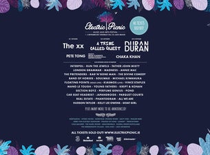 Electric Picnic Tickets Electric Picnic Tickets