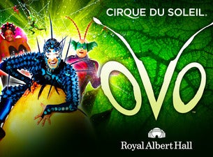 Cirque Du Soleil: Ovo Tickets Cirque Du Soleil: Ovo Tickets