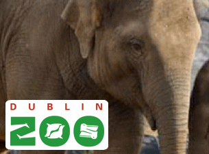 Dublin Zoo Tickets Dublin Zoo Tickets