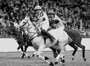HPA Gaucho International Polo&nbsp;Tickets