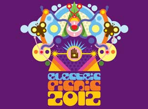Electric Picnic&nbsp;Tickets