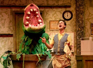 Little Shop of Horrors Tickets Little Shop of Horrors Tickets
