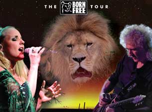 Brian May Tickets Brian May Tickets