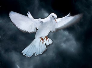 Karl Jenkins Tickets Karl Jenkins Tickets