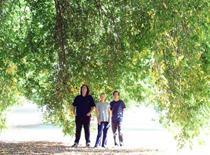 Yo La Tengo Tickets Yo La Tengo Tickets