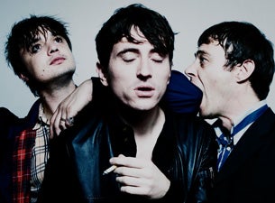 Babyshambles Tickets Babyshambles Tickets