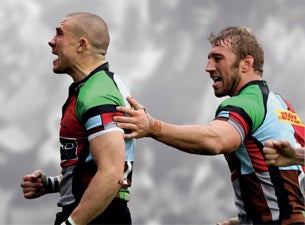 Harlequins Tickets Harlequins Tickets