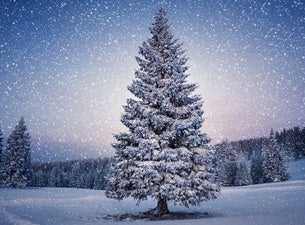 White Christmas Tickets White Christmas Tickets