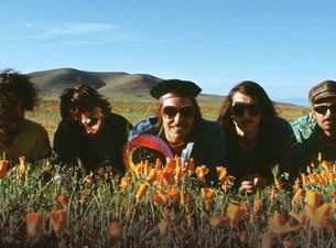 The Growlers Tickets The Growlers Tickets