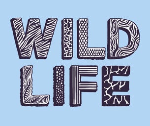 Wildlife Tickets Wildlife Tickets