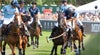 More info about Mint Polo in the Park