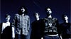 Foals
