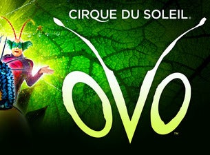 Cirque du Soleil: OVO Tickets Cirque du Soleil: OVO Tickets
