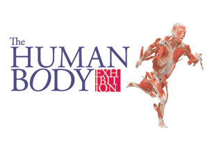 The Human Body Tickets The Human Body Tickets