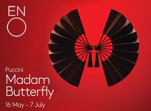 english butterfly touch london english butterfly touch london