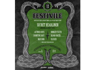 Festivile Tickets Festivile Tickets