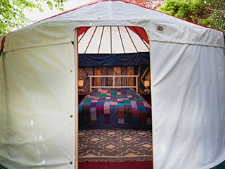 Gold Bell Tent for 4