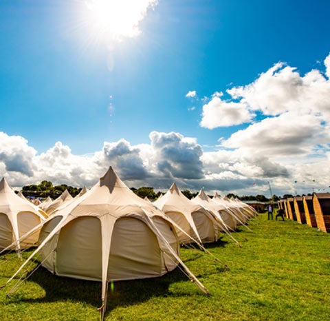 Dreamfields Dreamfields