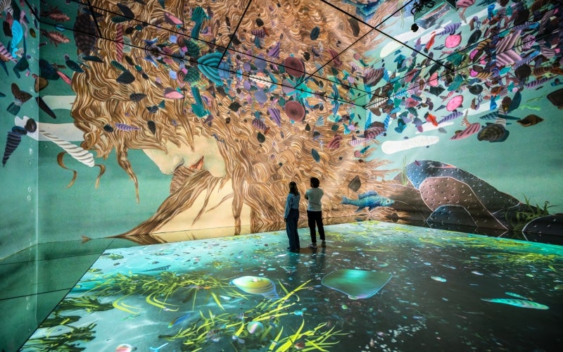 Gallery 1 image of person and leaves