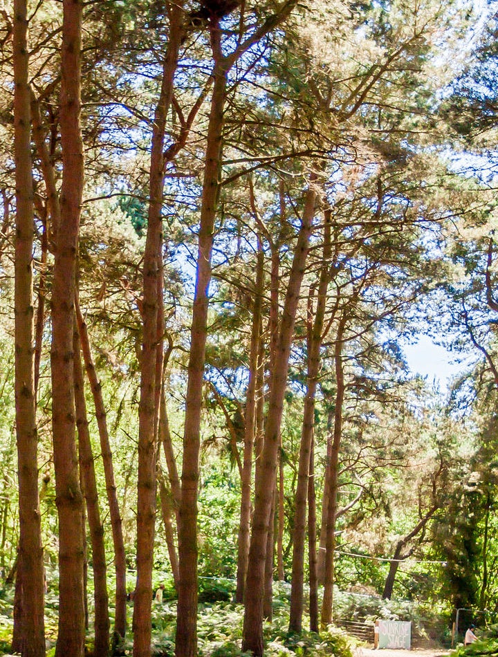 Latitude Festival access tickets