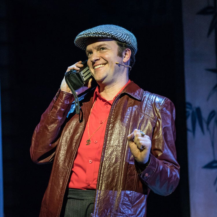 Only Fools and Horses accessible ticket information