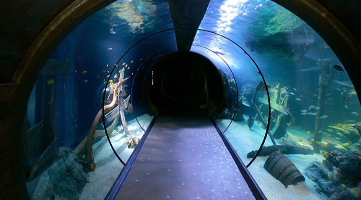 Aquarium sealife SEA LIFE