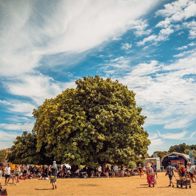 2023 Theme - Standon Calling