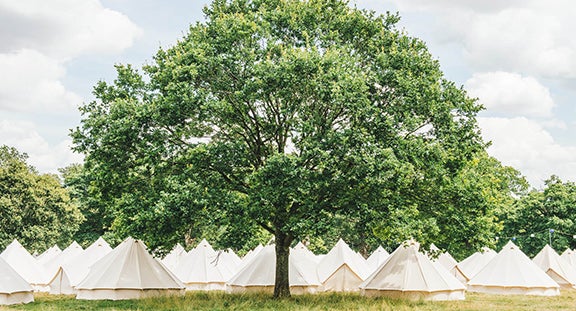Meadow Camping Meadow Camping